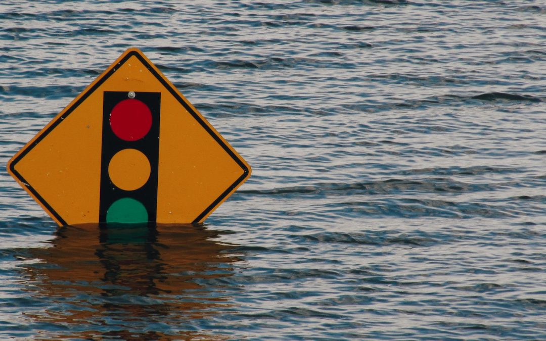 Zukunftsängste und mögliche Folgen für die psychische Gesundheit: Beispiel Klimaangst