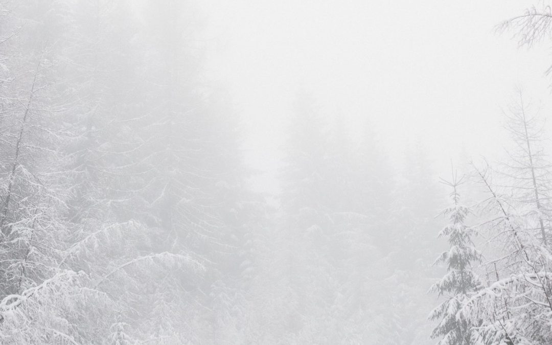 Im Winter immer müde? Was Sie tun können und welche Ursachen dahinter stecken