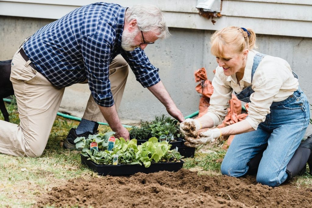 Gärtnern für Anfänger: Pflanzen Sie Gemüse an. Radieschen wachsen besonders schnell