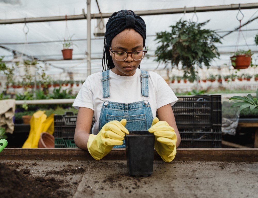 Gartentherapie ist schon gut erprobt und hilft gegen Depressionen, Belastungsstörungen und Angst