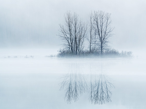 Eine Winterdepression ist mehr als nur ein kurzzeitiges Stimmungstief. Es handelt sich um eine ernstzunehmende saisonale affektive Störung, die gerade leistungsstarke Menschen häufig unterschätzen – mit spürbarem Einfluss auf Produktivität, Konzentration und physische Leistungsfähigkeit.